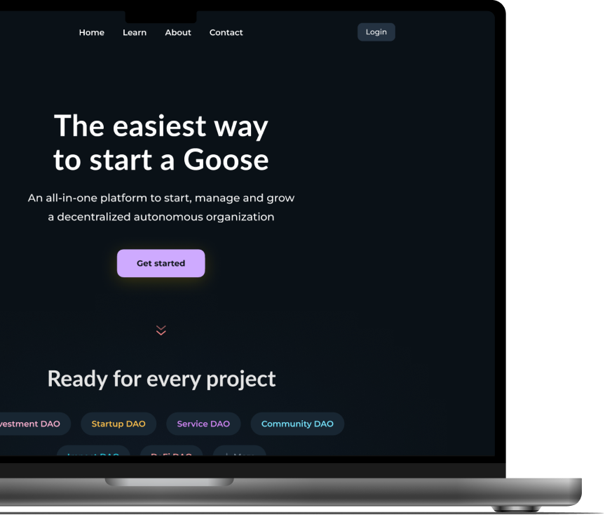 An image of the Pink Goose project